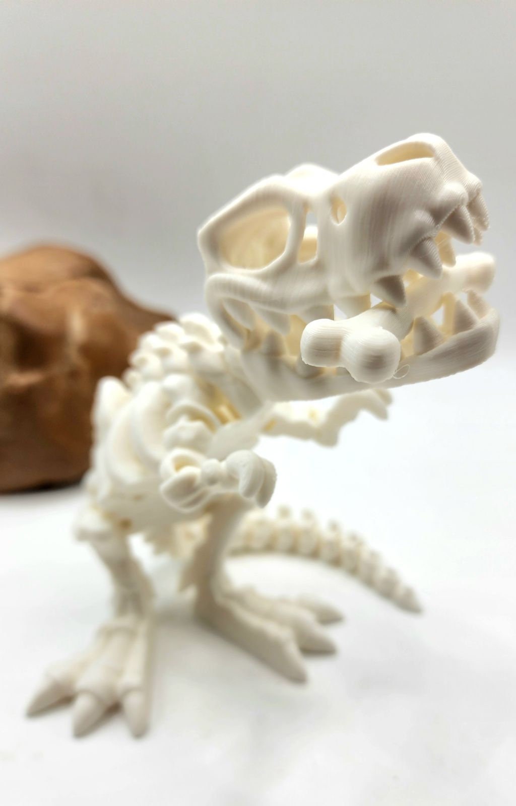 3D printed articulate skeletal T Rex fidget, sensory toy.