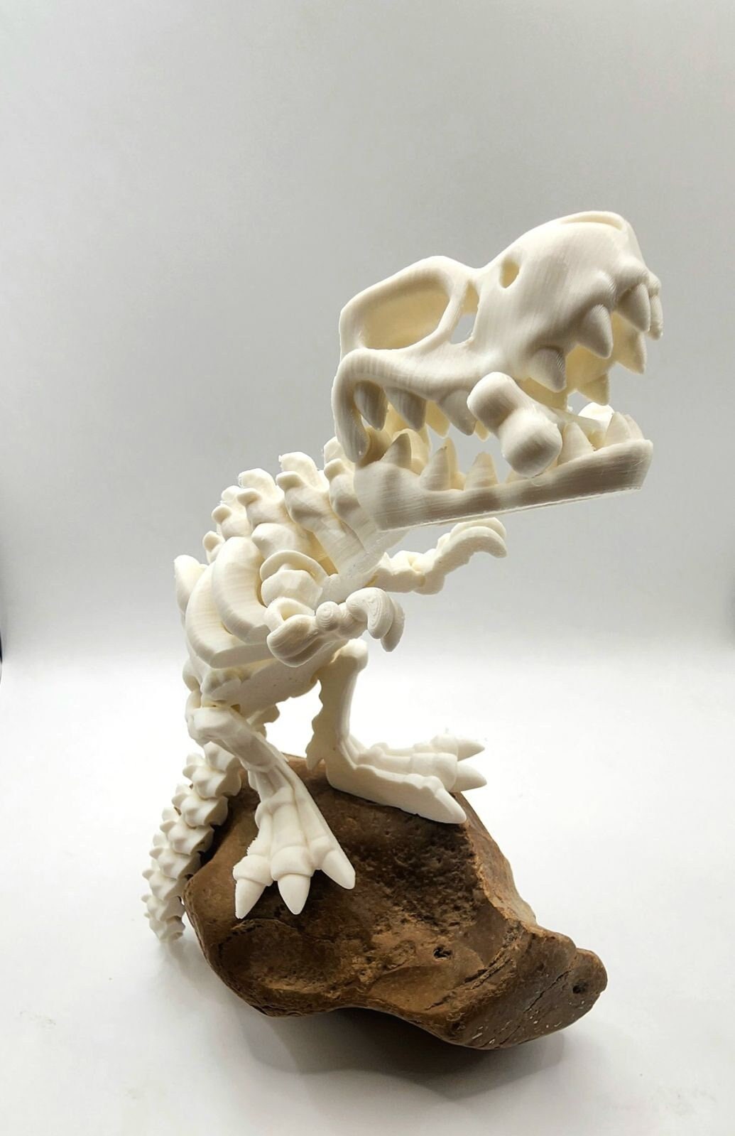 3D printed articulate skeletal T Rex fidget, sensory toy.