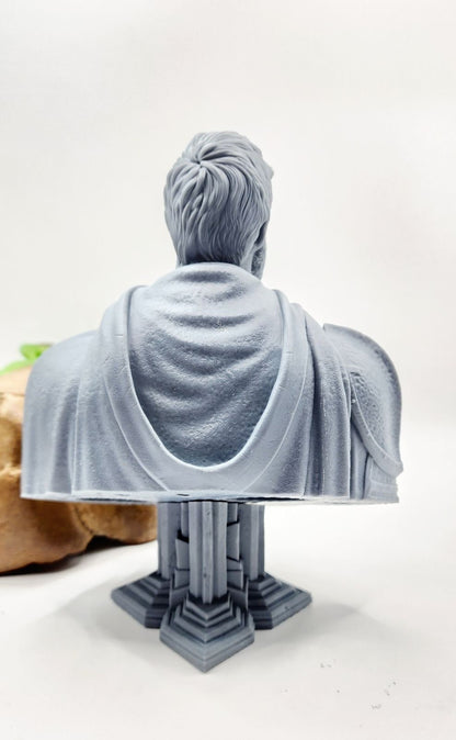 Baylan Skoll 14k resin printed bust, desktop decoration.