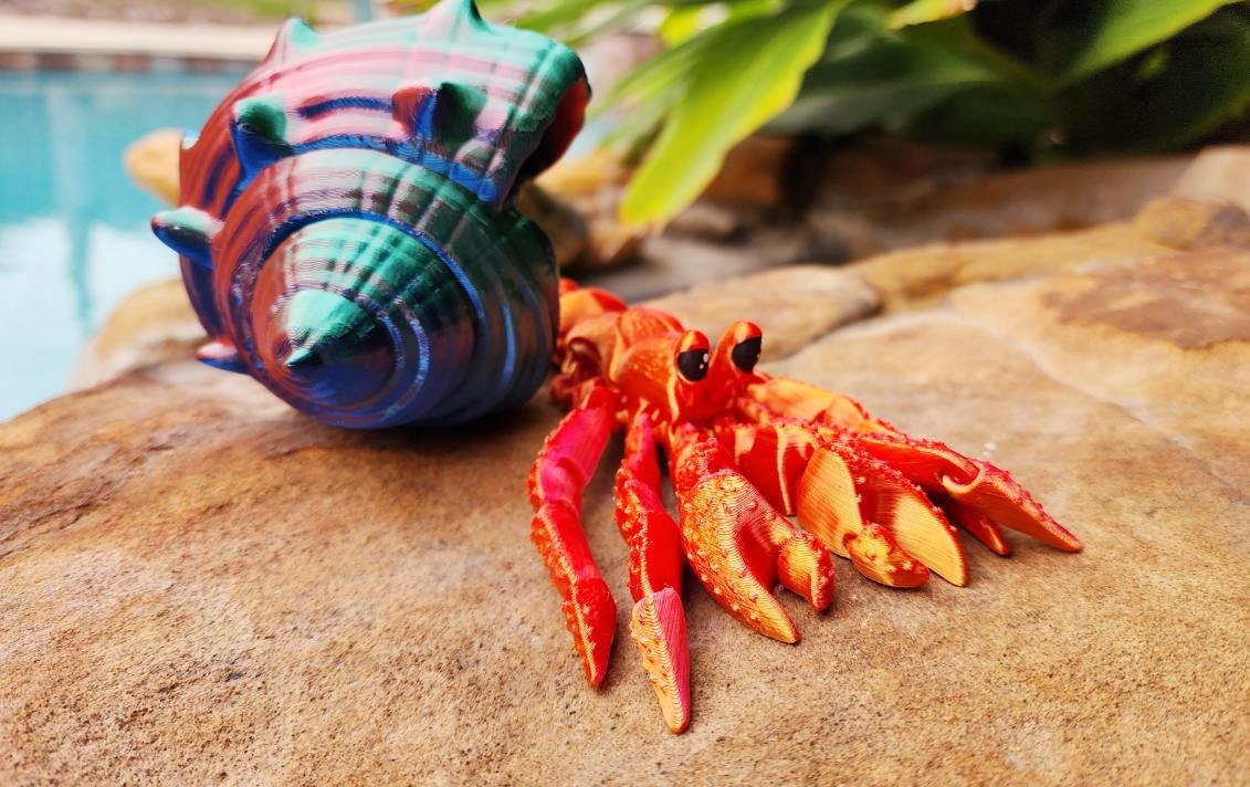 Articulated hermit crab with removable shell. Fidget toy, sensory toy.