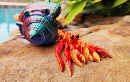 Articulated hermit crab with removable shell. Fidget toy, sensory toy.