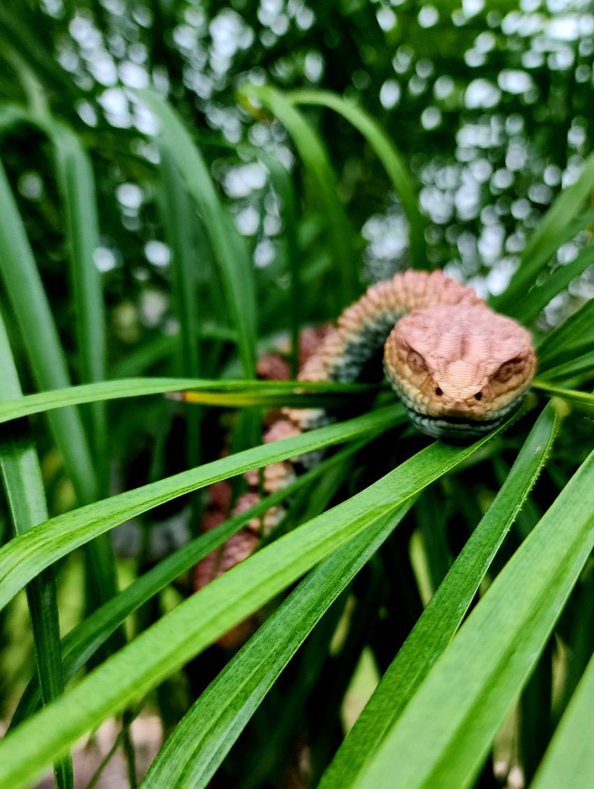 Rattlesnake fidget toy, articulated sensory toy.