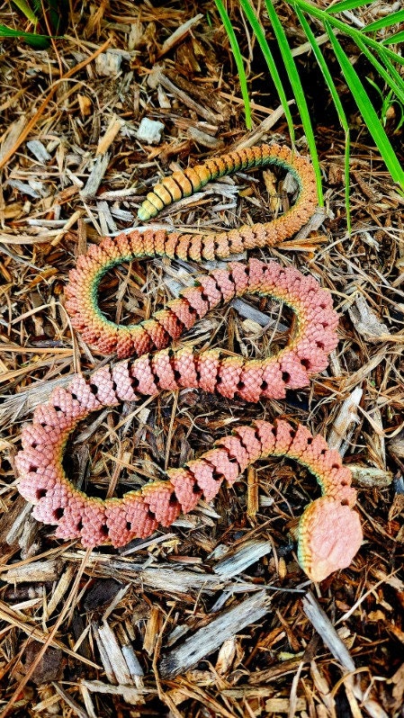 Rattlesnake fidget toy, articulated sensory toy.