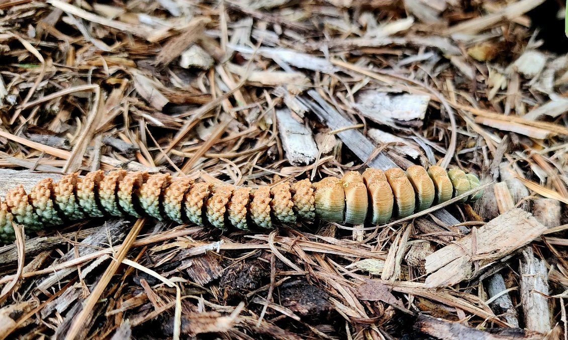 Rattlesnake fidget toy, articulated sensory toy.