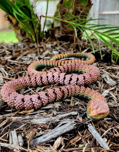 Rattlesnake fidget toy, articulated sensory toy.