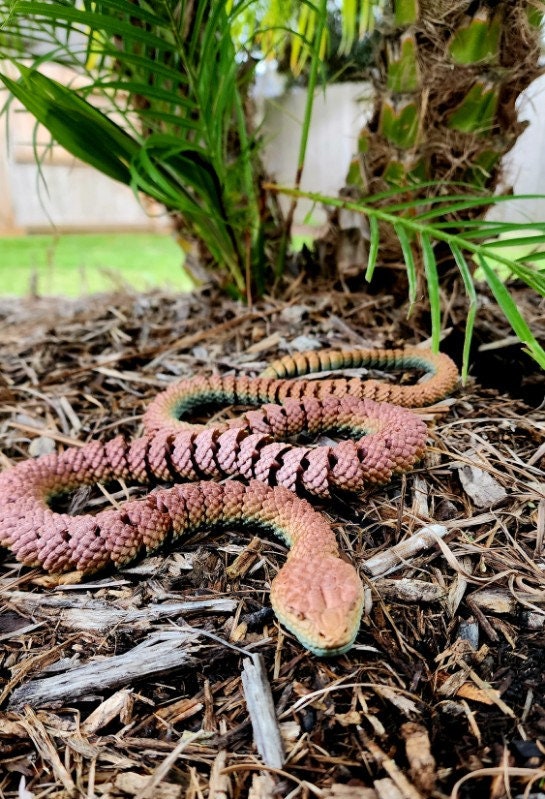 Rattlesnake fidget toy, articulated sensory toy.