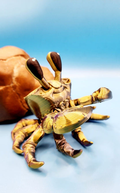 3D printed fully articulated Ghost crab, fidget sensory toy.