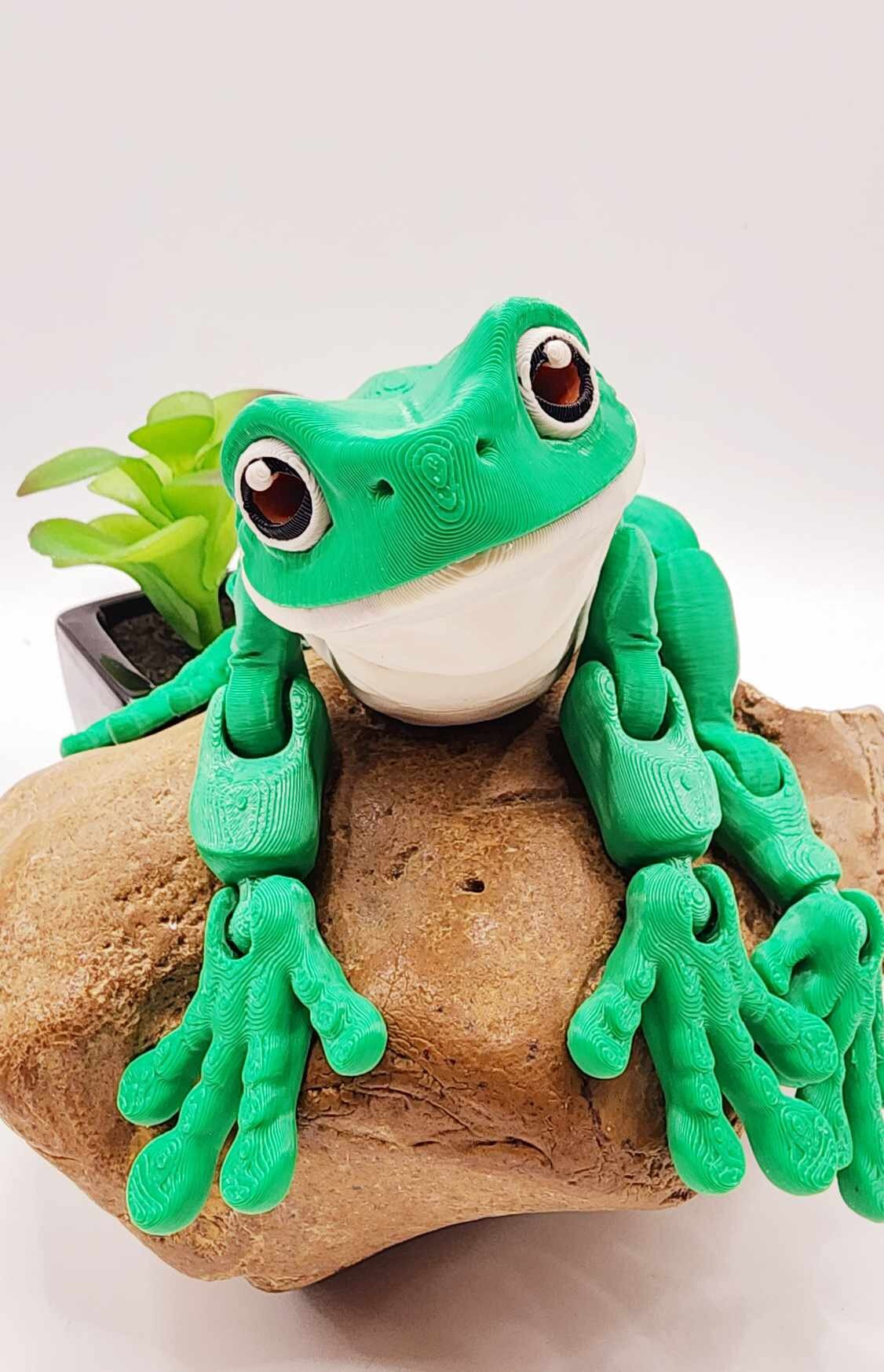 3D printed White Tree Frog, articulated fidget toy, sensory toy, desktop toy.