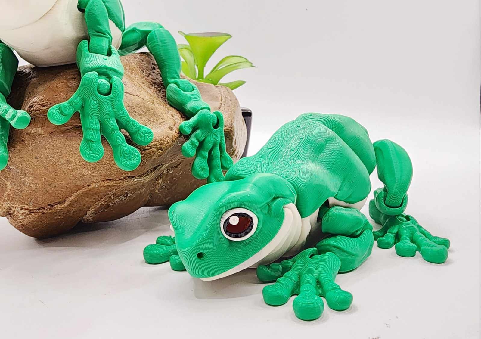 3D printed White Tree Frog, articulated fidget toy, sensory toy, desktop toy.