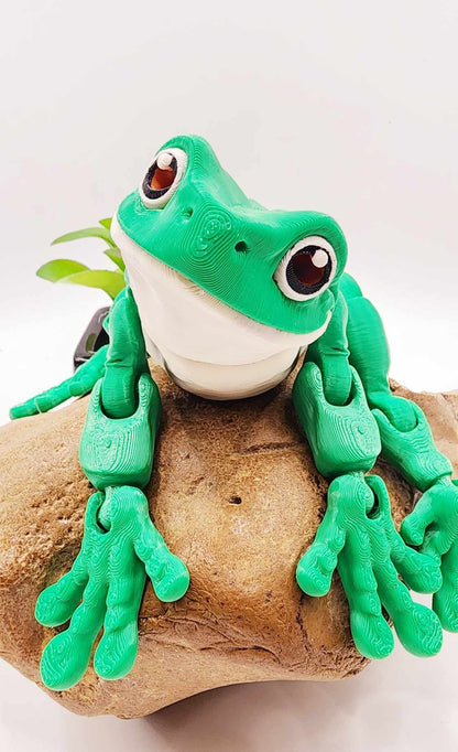 3D printed White Tree Frog, articulated fidget toy, sensory toy, desktop toy.