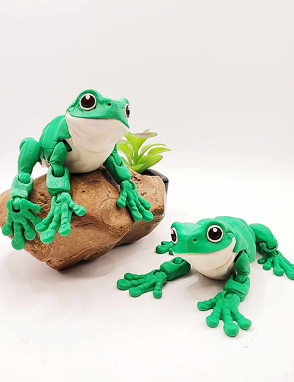 3D printed White Tree Frog, articulated fidget toy, sensory toy, desktop toy.