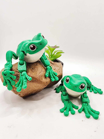 3D printed White Tree Frog, articulated fidget toy, sensory toy, desktop toy.