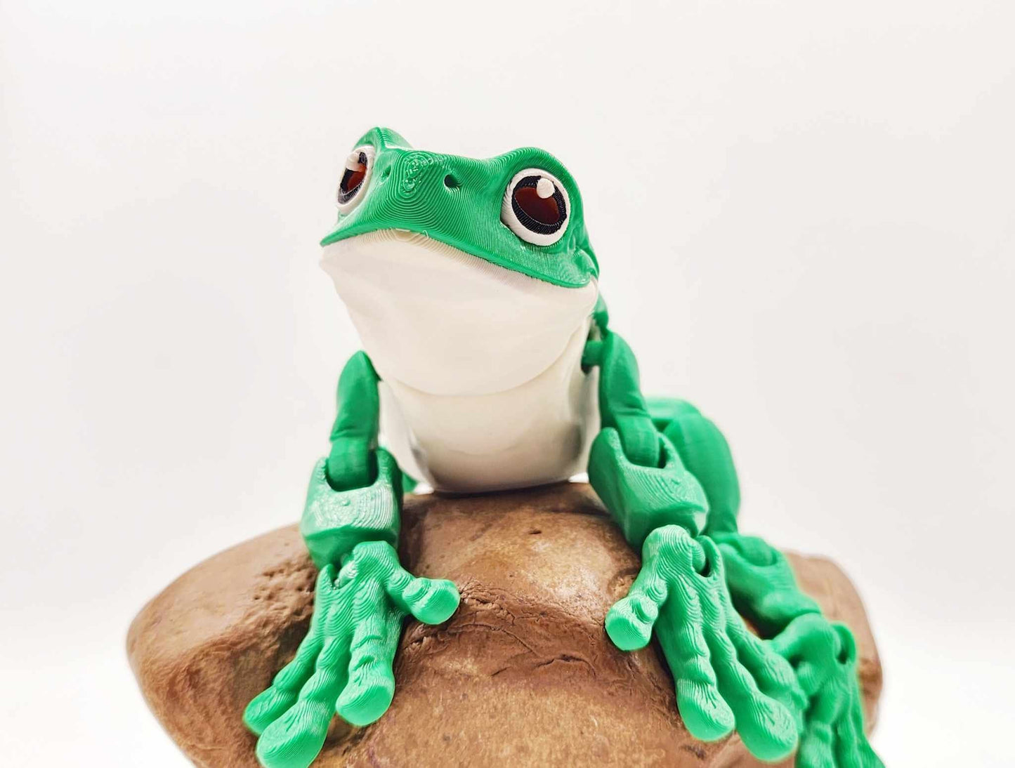 3D printed White Tree Frog, articulated fidget toy, sensory toy, desktop toy.