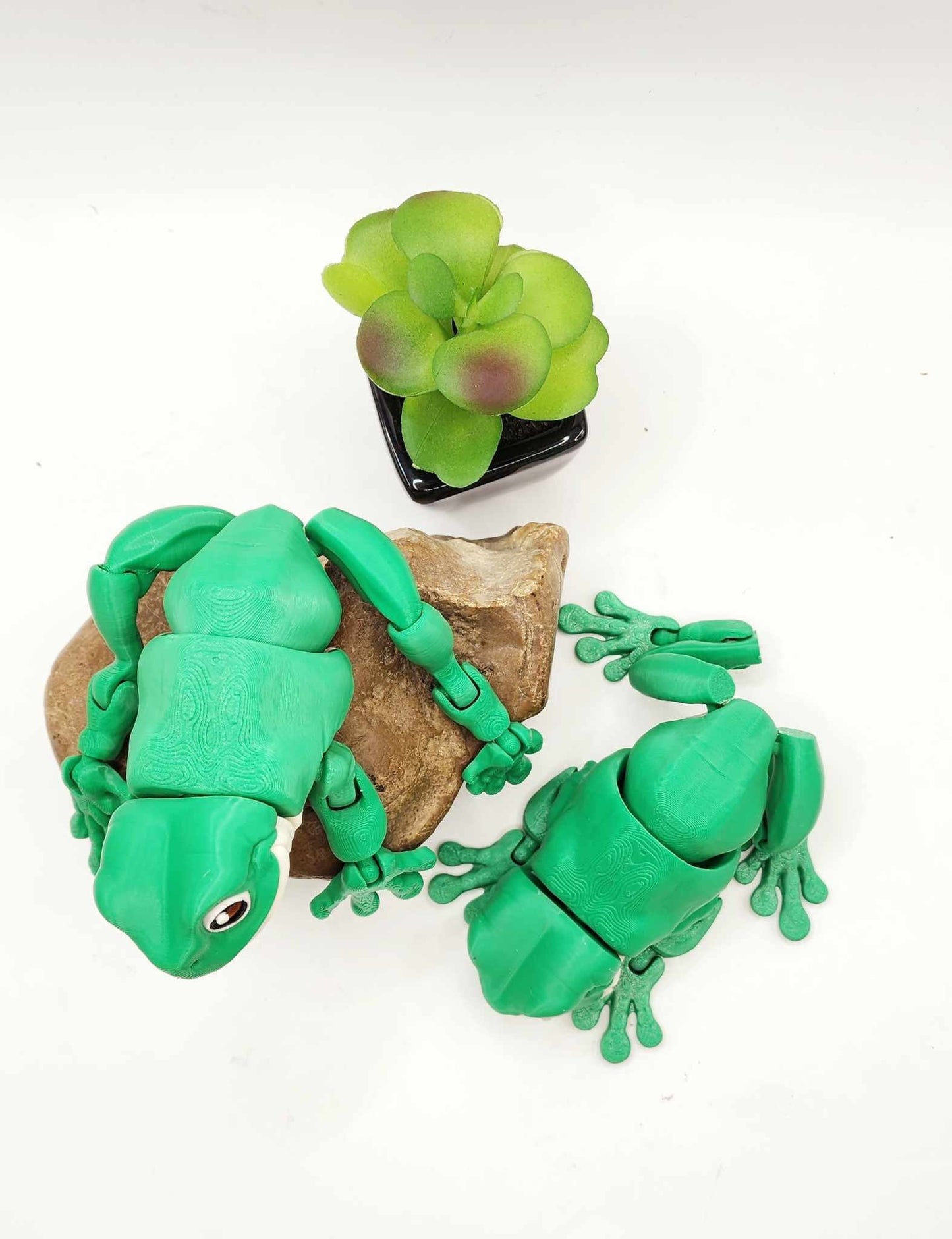 3D printed White Tree Frog, articulated fidget toy, sensory toy, desktop toy.