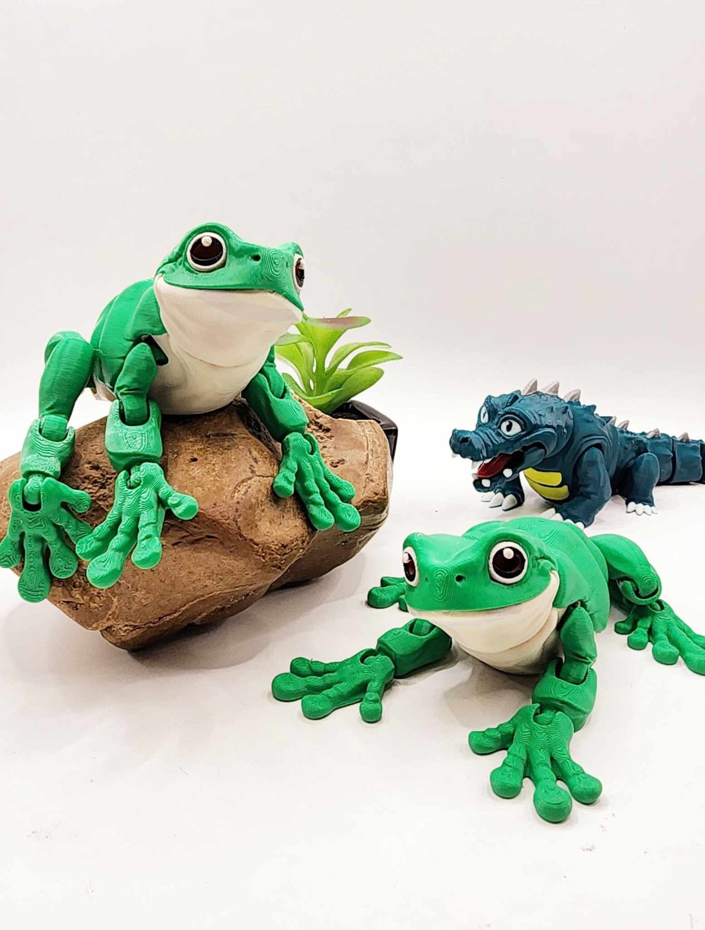 3D printed White Tree Frog, articulated fidget toy, sensory toy, desktop toy.