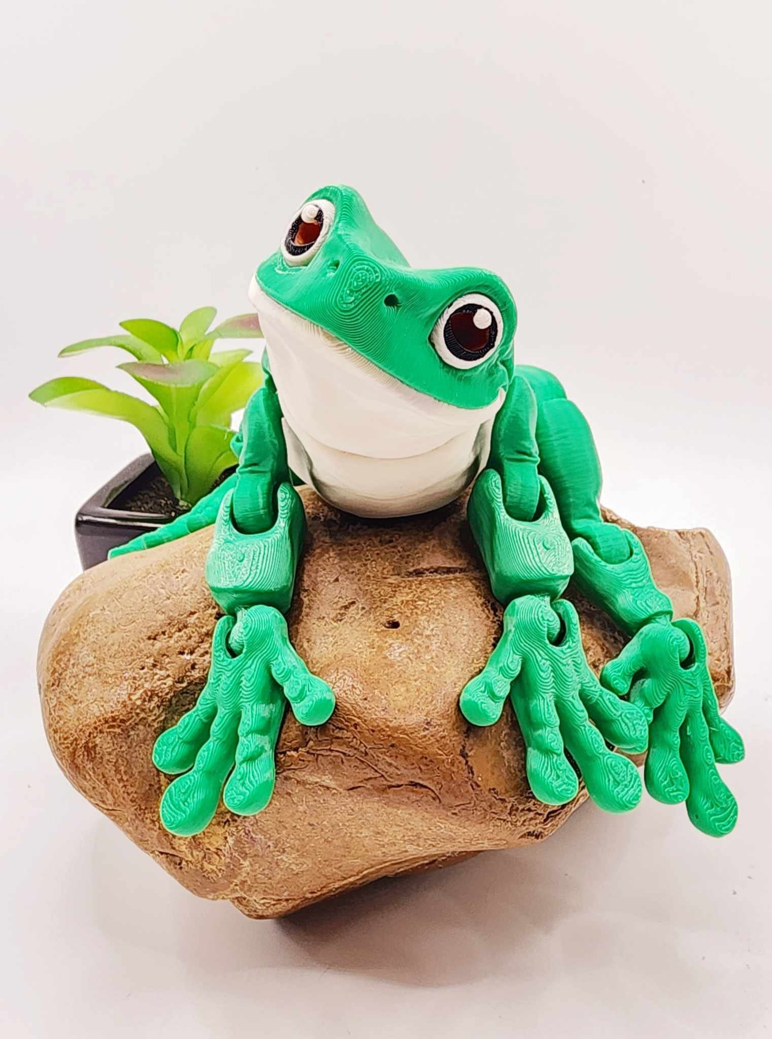 3D printed White Tree Frog, articulated fidget toy, sensory toy, desktop toy.