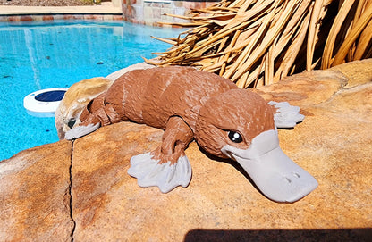 3D printed articulated Platypus fidget sensory toy. Desk Toy with a removable hat.