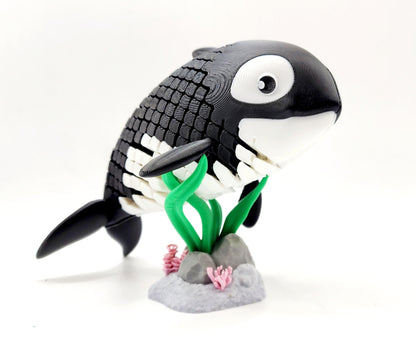 3D printed articulated Orca Whale fidget sensory toy.