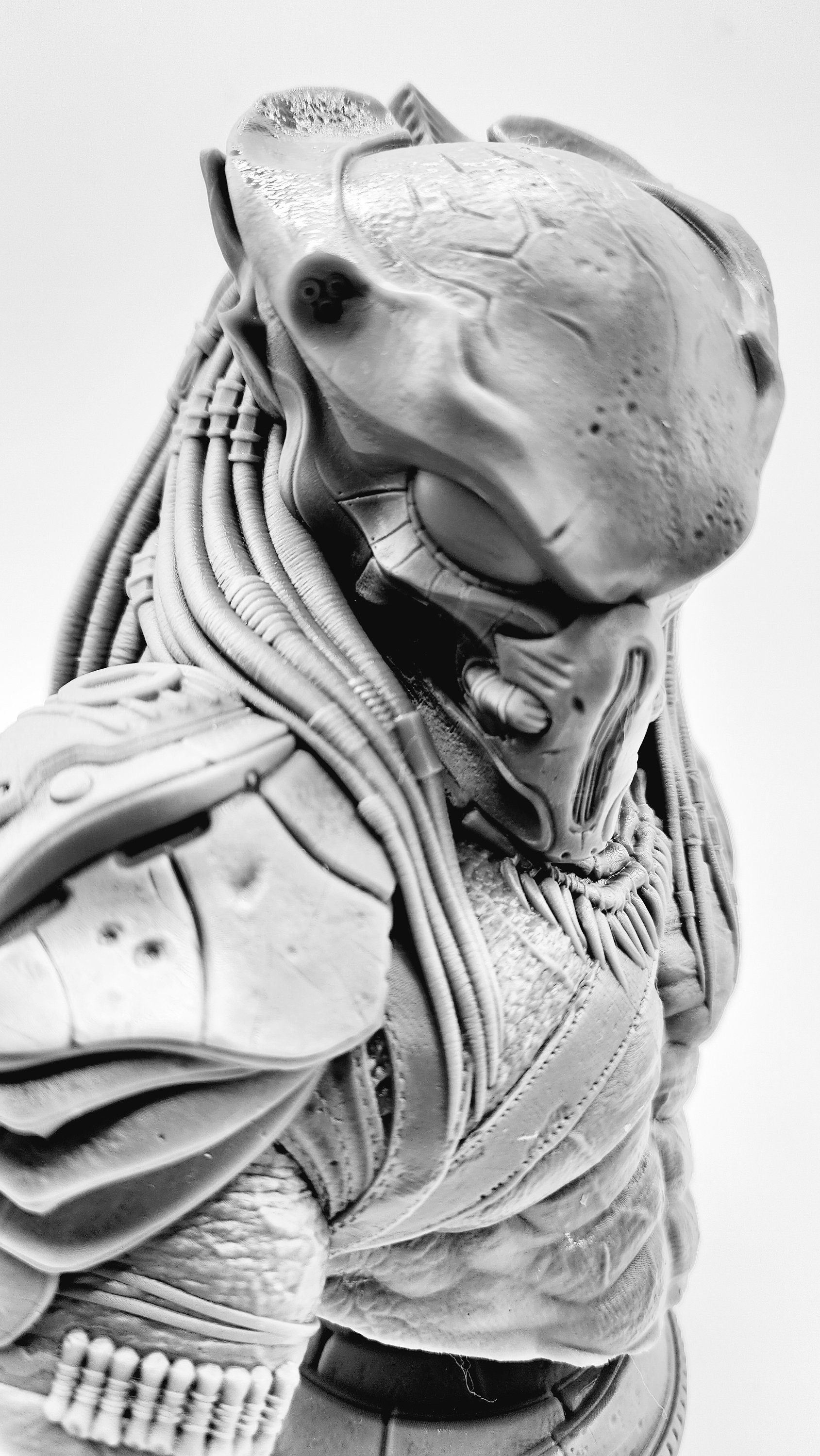 3D 14k resin printed Predator bust. Desk Decoration. Fan art.