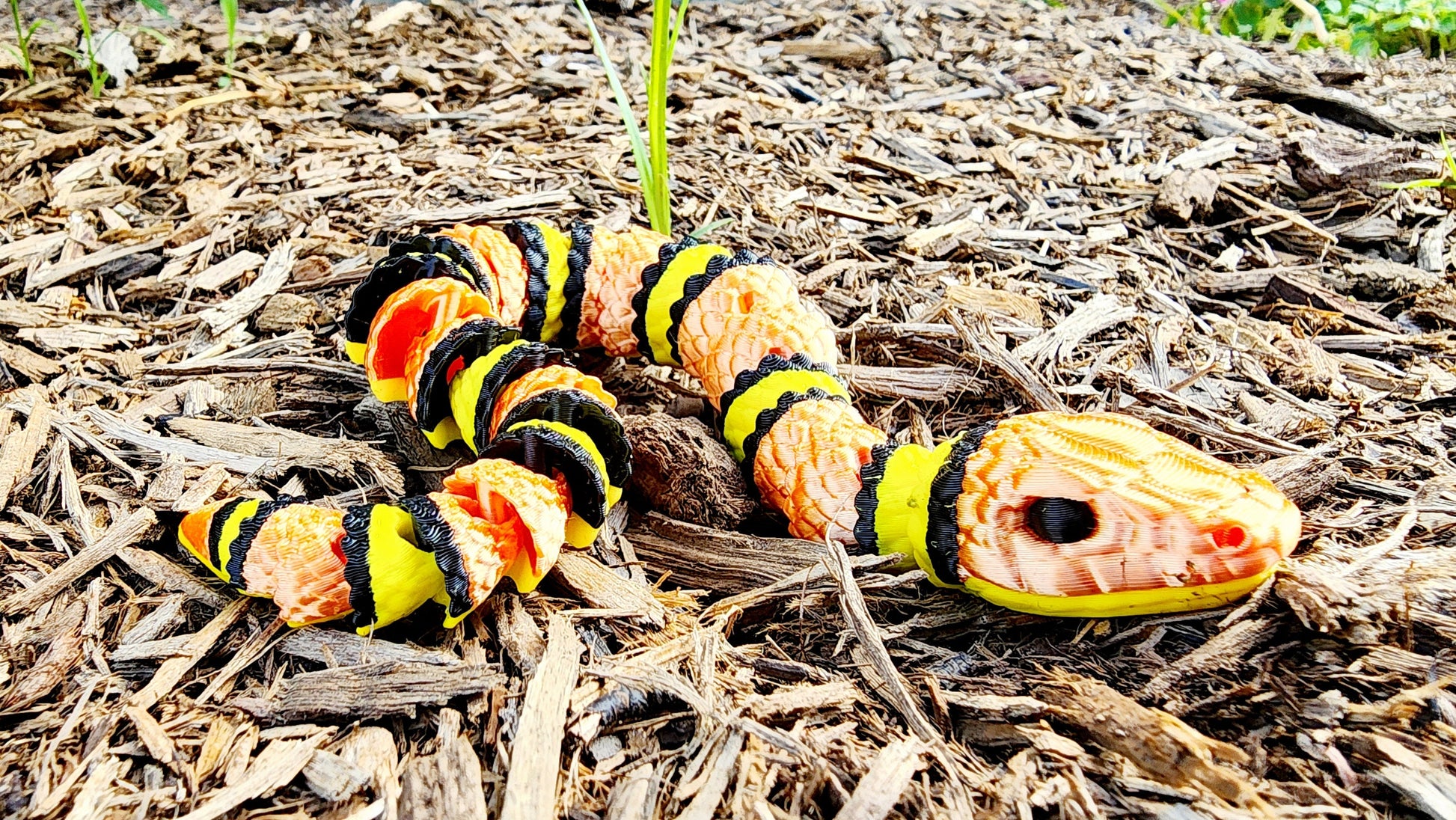 3D printed articulated Coral Snake, King Snake fidget sensory toy, desk toy.