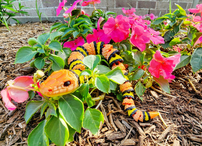 3D printed articulated Coral Snake, King Snake fidget sensory toy, desk toy.