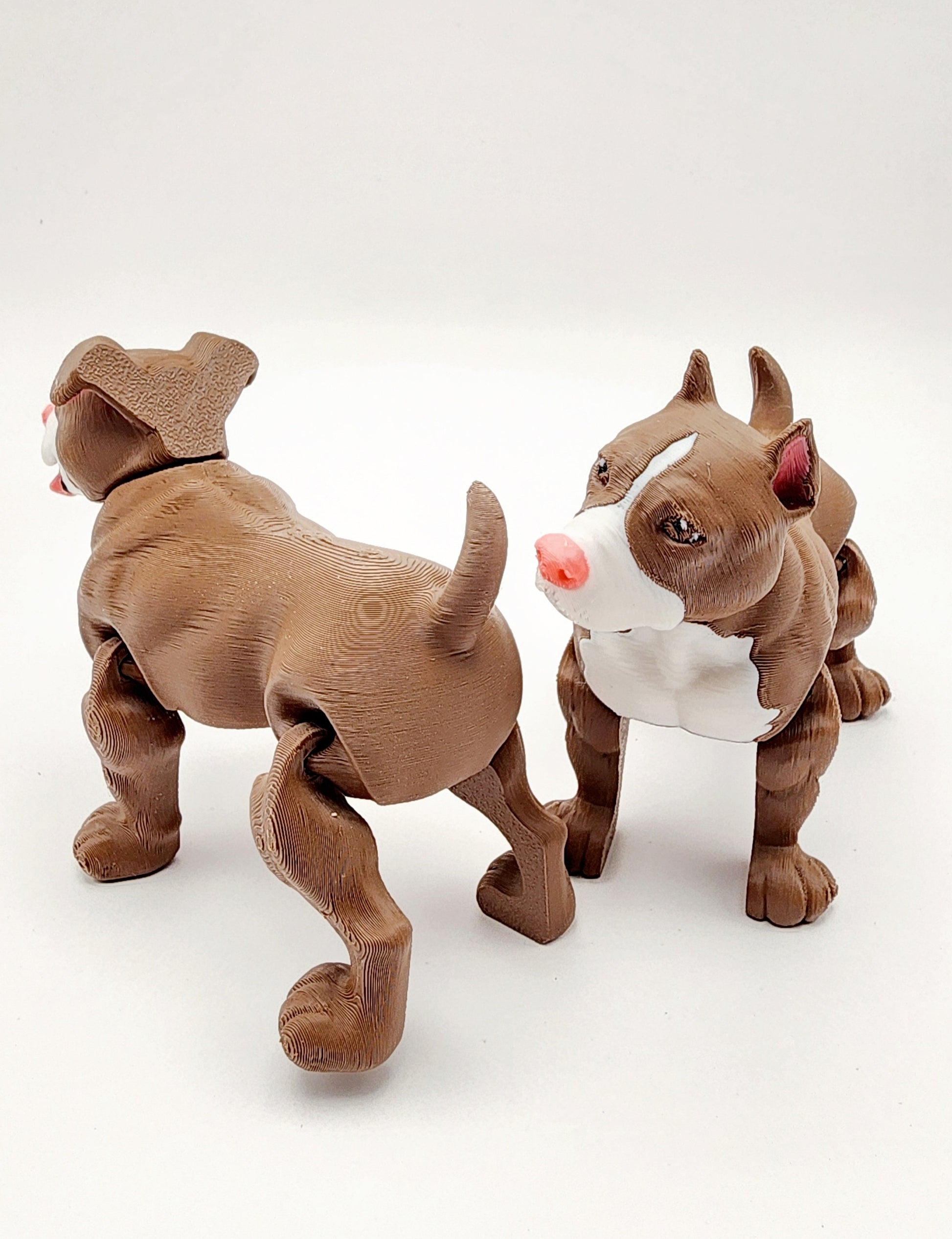 3D printed Pit Bull articulated fidget sensory toy.