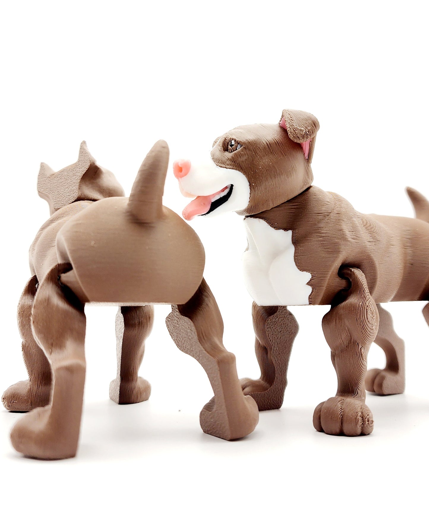 3D printed Pit Bull articulated fidget sensory toy.