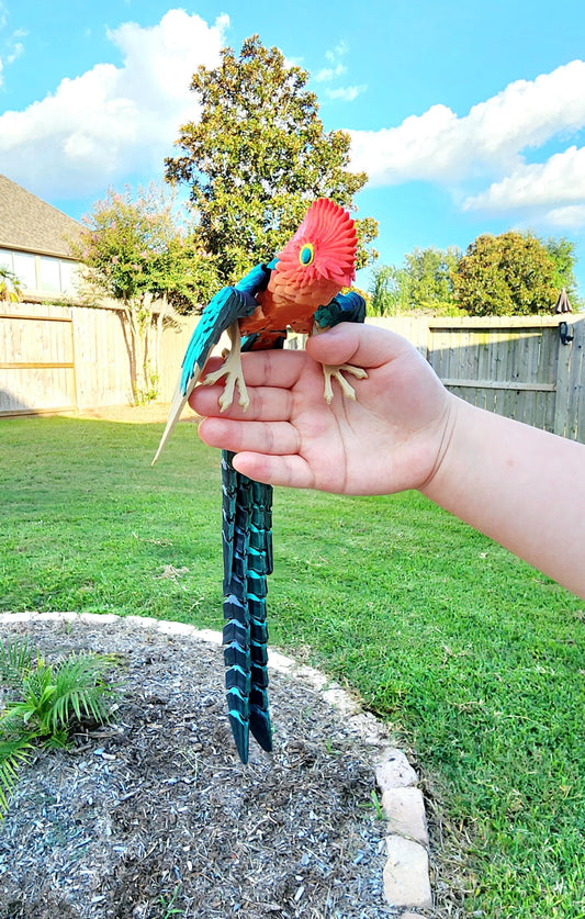 3D printed Quetzal articulated fidget, sensory toy, desk decoration.