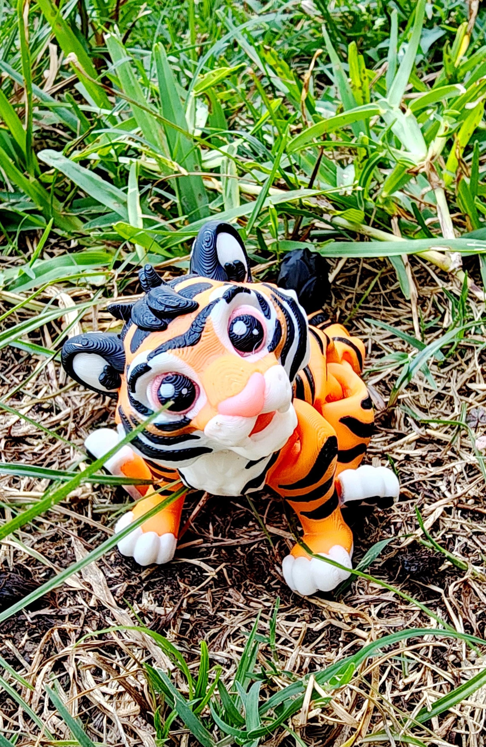 3D printed Tiger fidget, sensory, desktop toy.