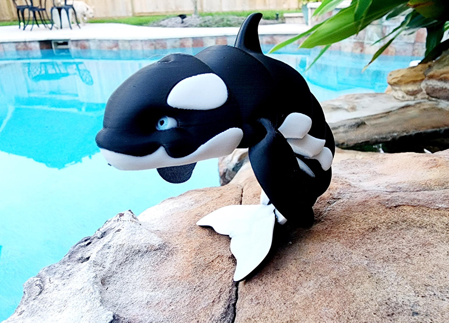 3D printed Orca Killer Whale articulated fidget, sensory toy.