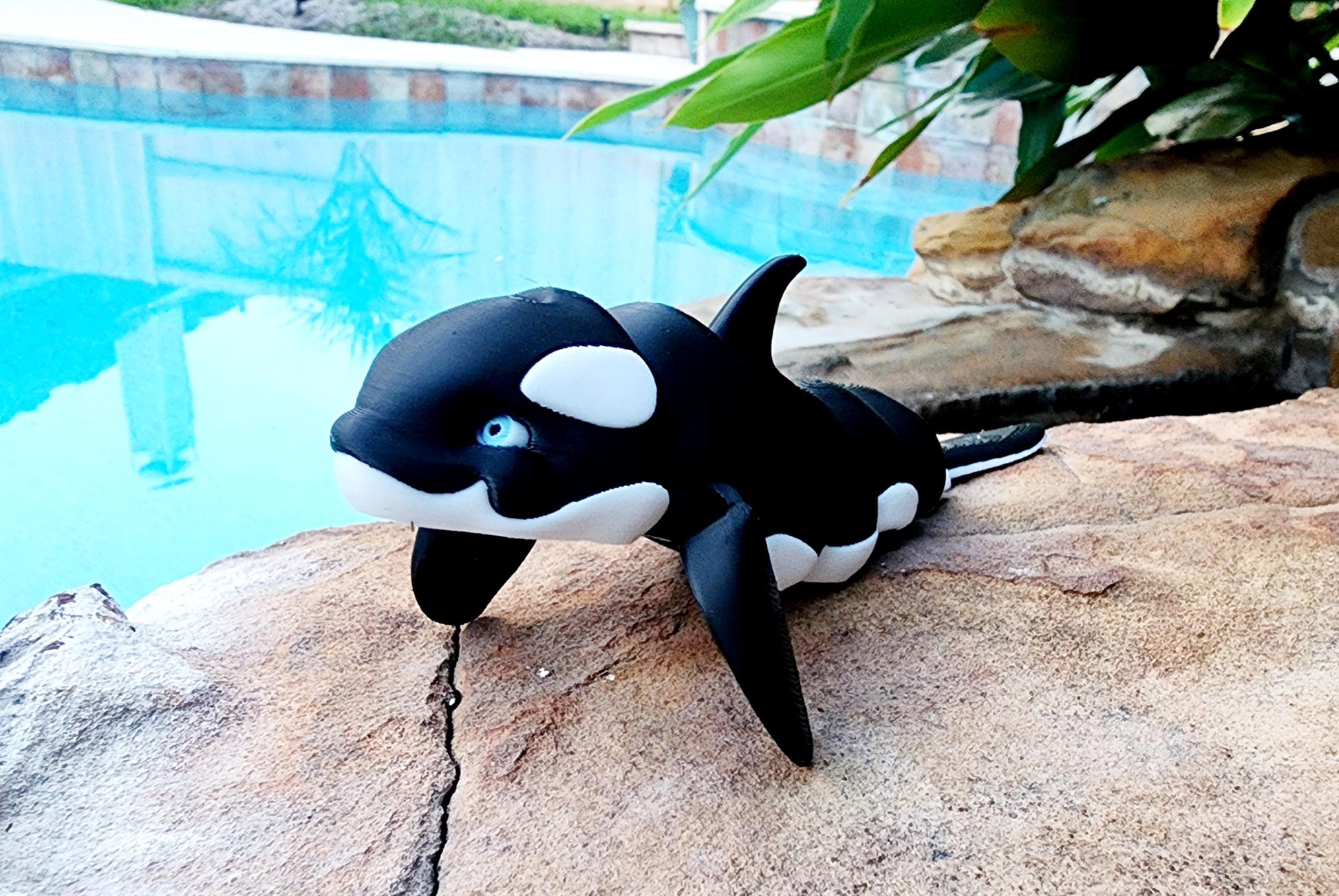 3D printed Orca Killer Whale articulated fidget, sensory toy.