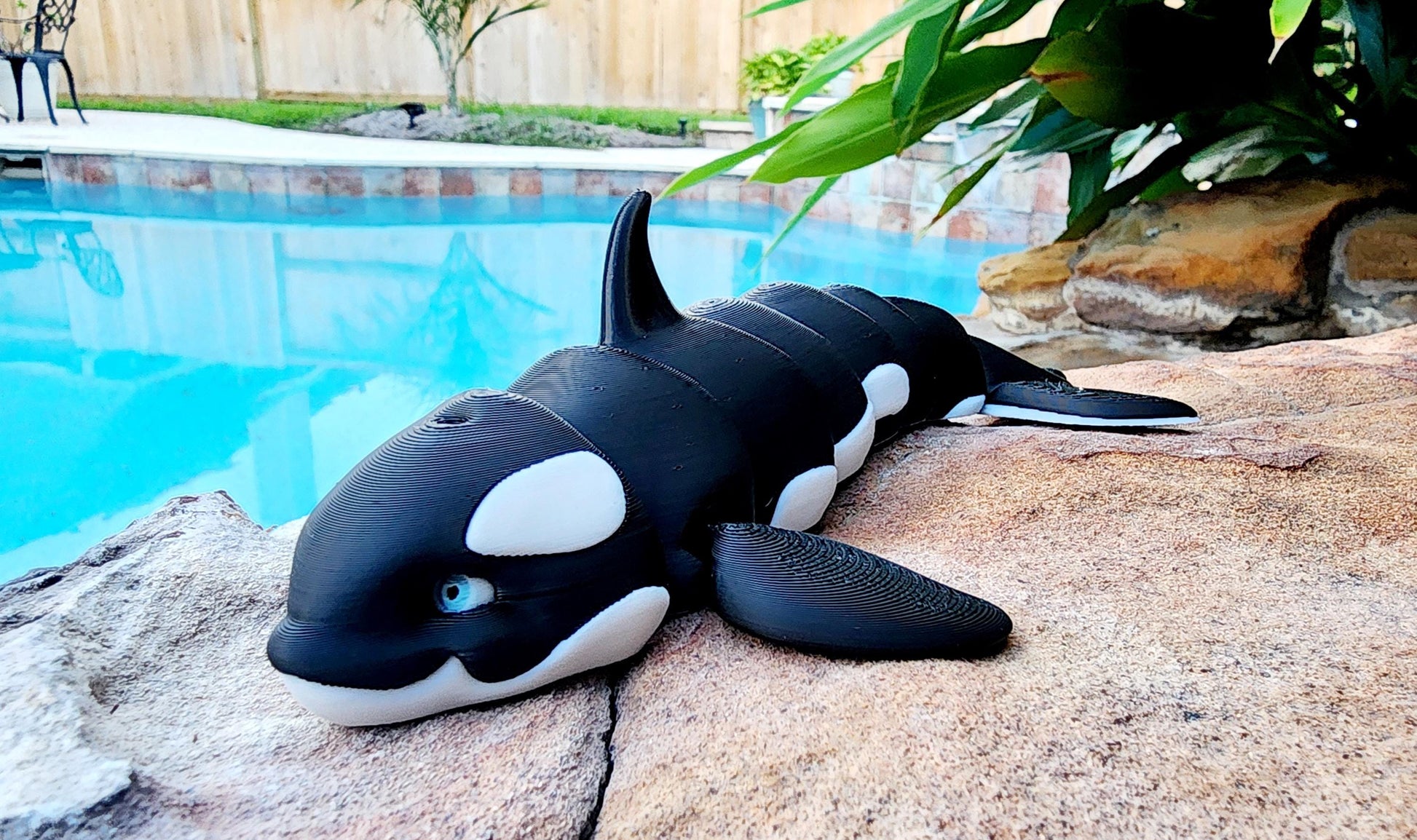 3D printed Orca Killer Whale articulated fidget, sensory toy.