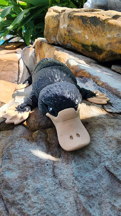 3D printed articulated Platypus fidget sensory toy. Desk Toy with a removable hat.