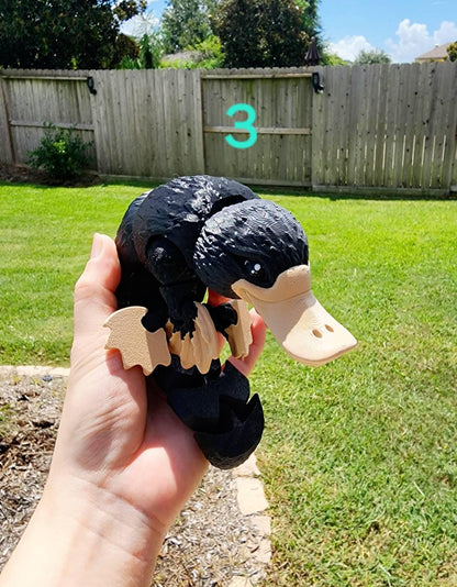 3D printed articulated Platypus fidget sensory toy. Desk Toy with a removable hat.