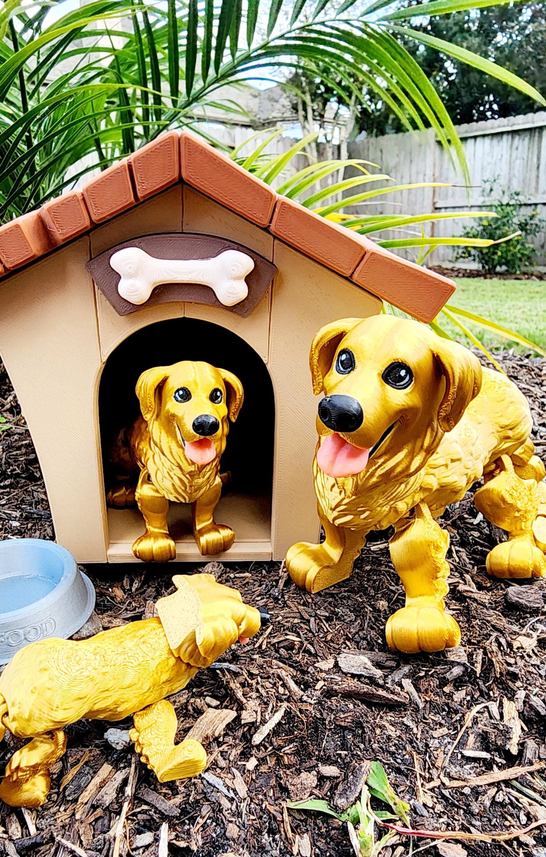 3D printed articulate Golden Retriever fidget, sensory toy.