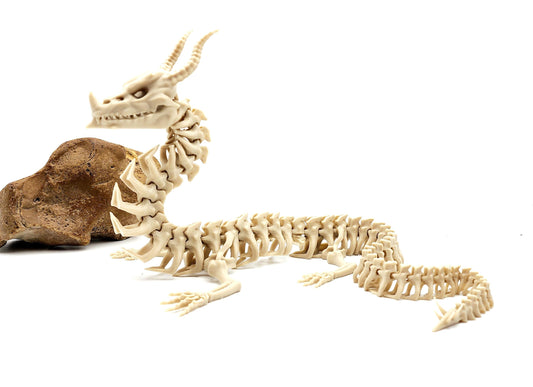 3D printed articulate posable skeleton dragon fidget, sensory toy.