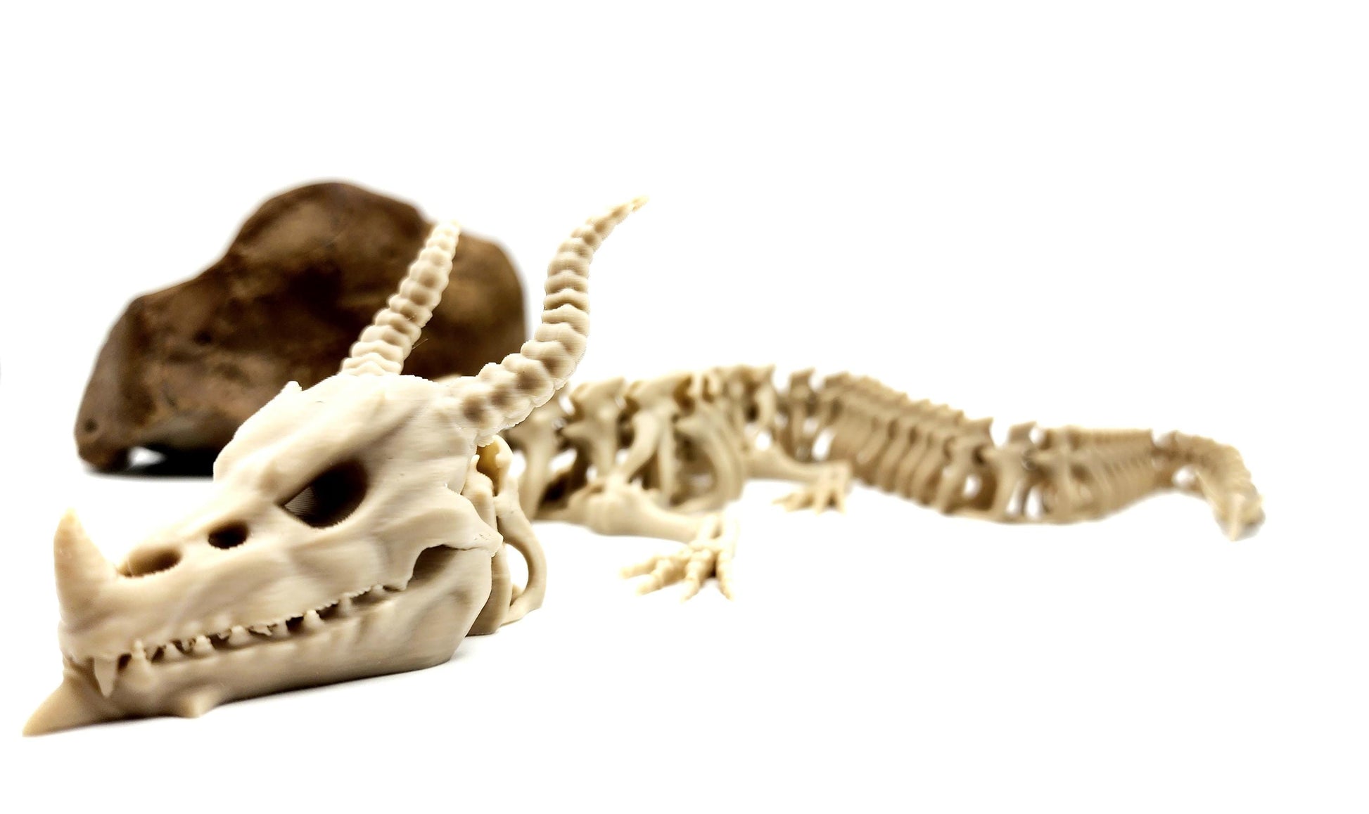 3D printed articulate posable skeleton dragon fidget, sensory toy.